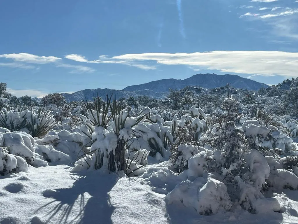 70120 San Lorenzo Road, Mountain Center, California 92561 home-pic-10